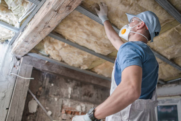 Best Insulation Maintenance and Repair in Rinna, VA